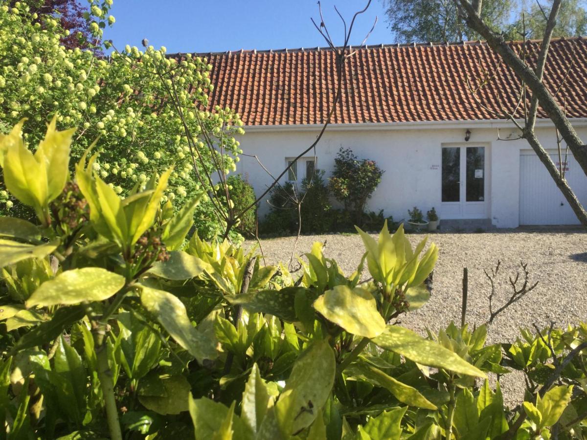Gites Les Amis De L Authie Maintenay Esterno foto